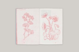 foolscap-editions